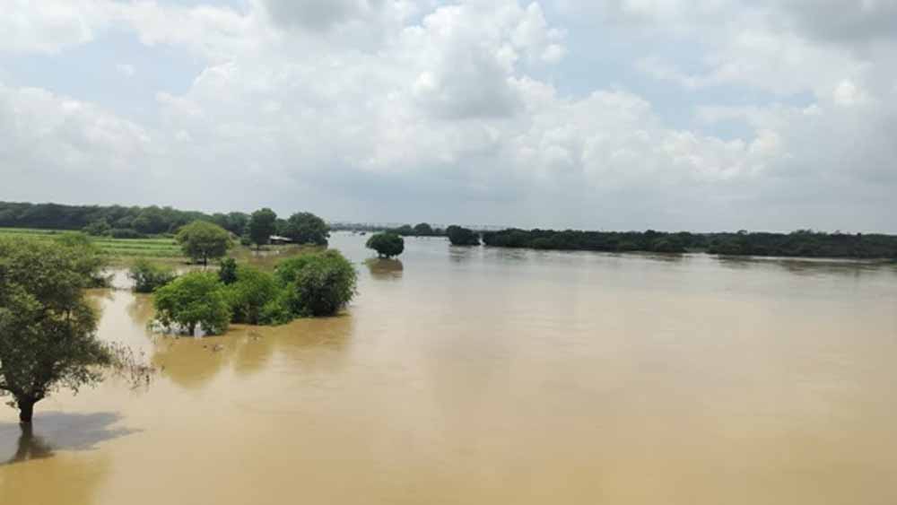 Mosam.jpg