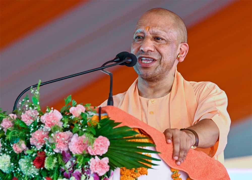 Cm yogi 01 5.jpg