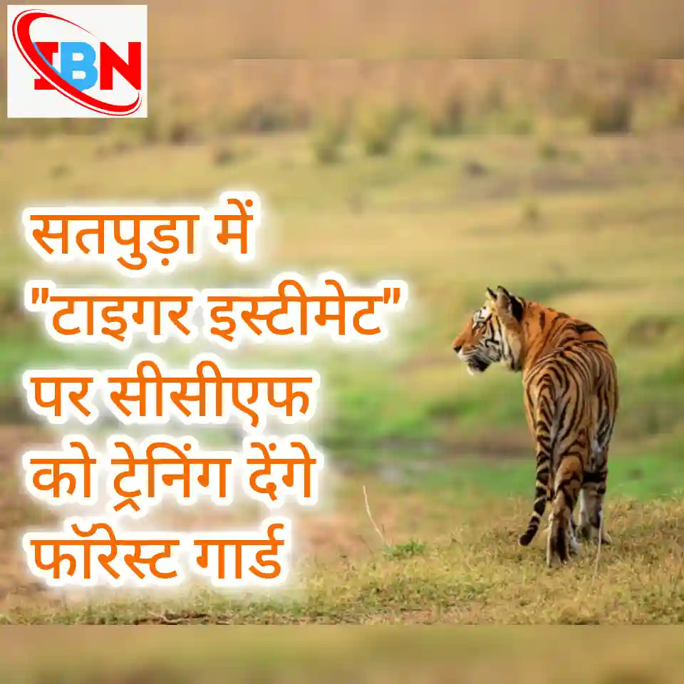 Inshot 20251013 101717273