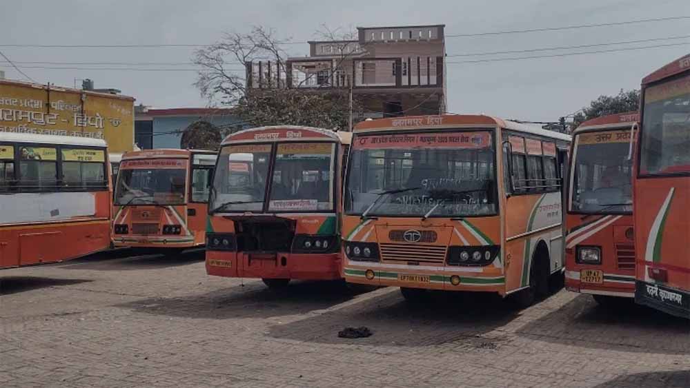 Bus 2.jpg