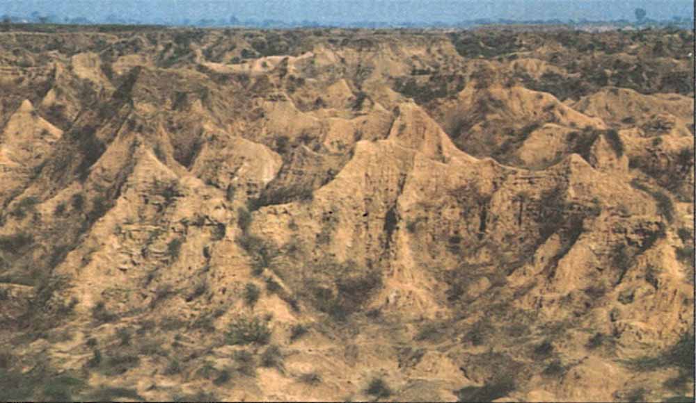 Chambal.jpg