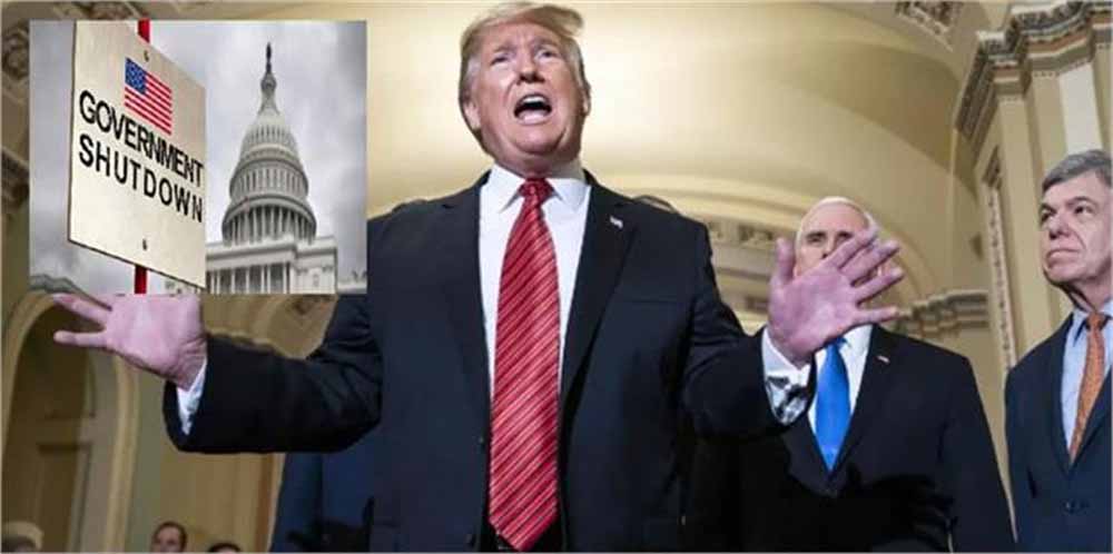 Donald.jpg