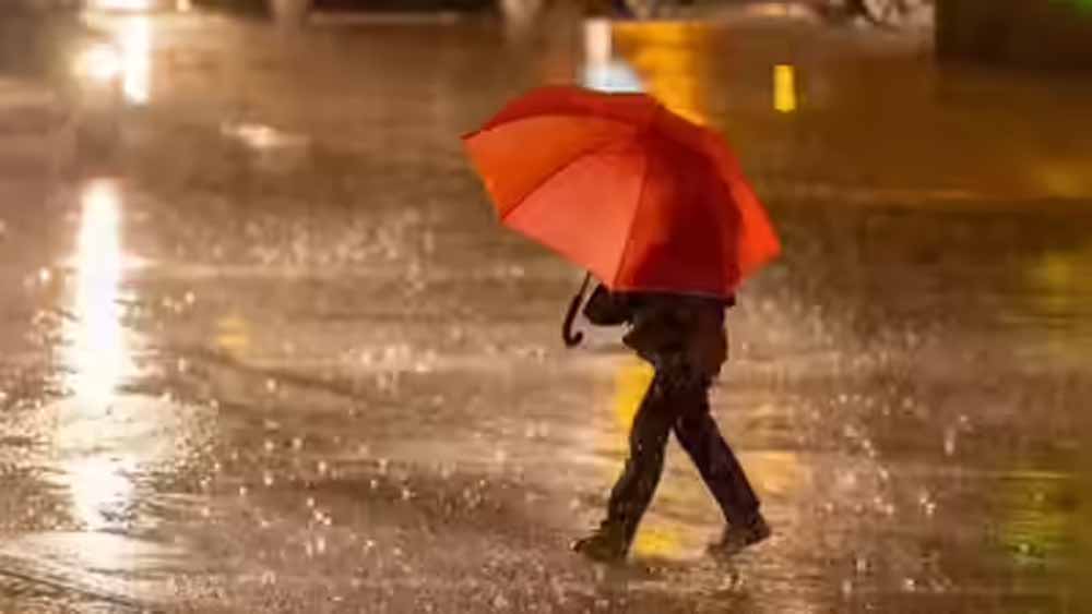 Rain.jpg