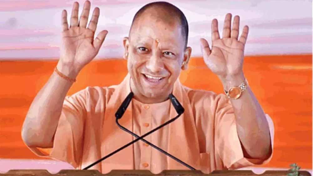Yogi 3.jpg