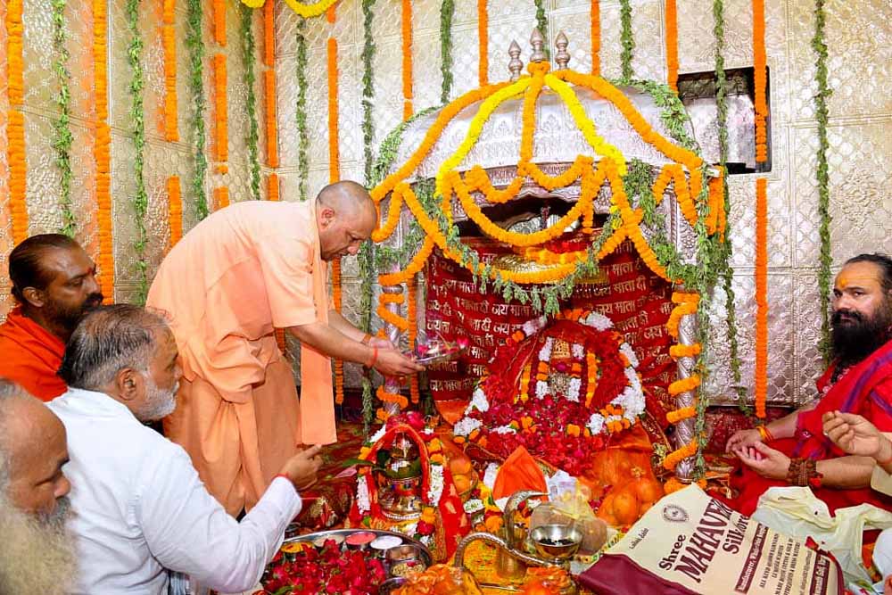 Yogi1 6.jpg