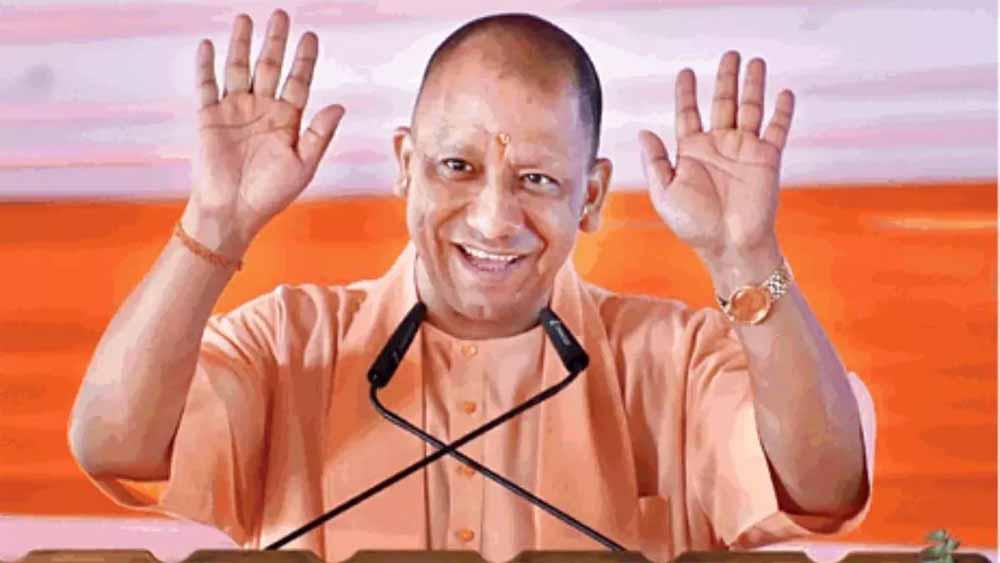 Yogi3 17.jpg