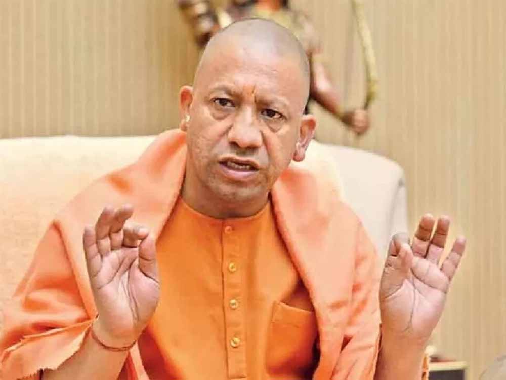 Yogi3 4.jpg