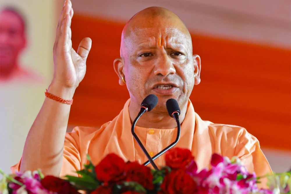 Yogi3 5.jpg