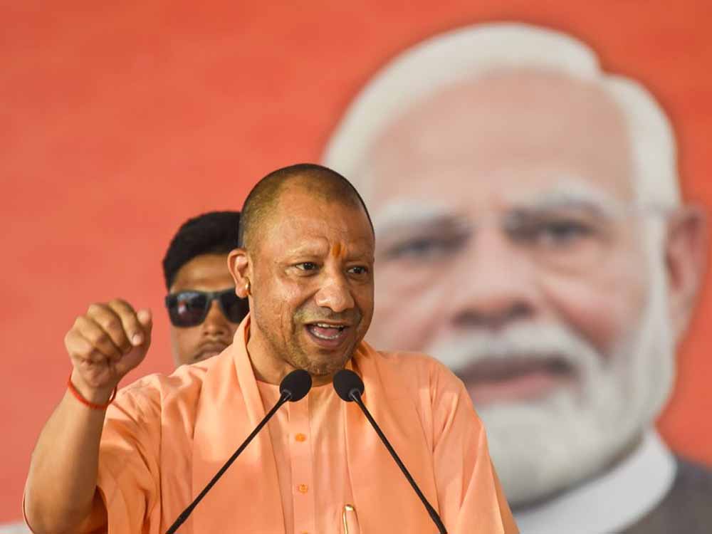 Yogi6 1.jpg