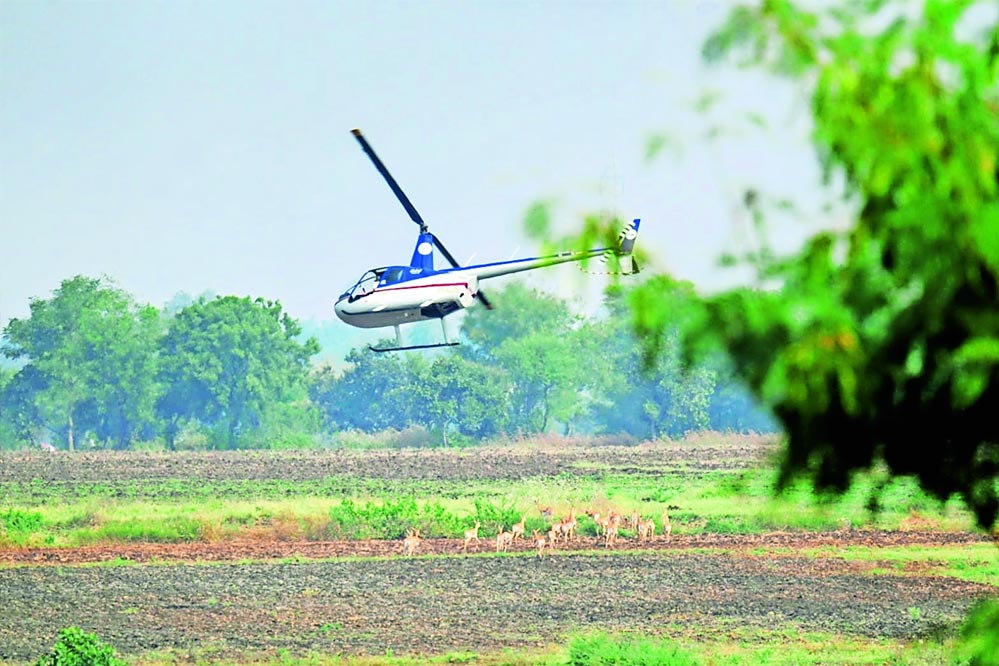 4a 162.jpg