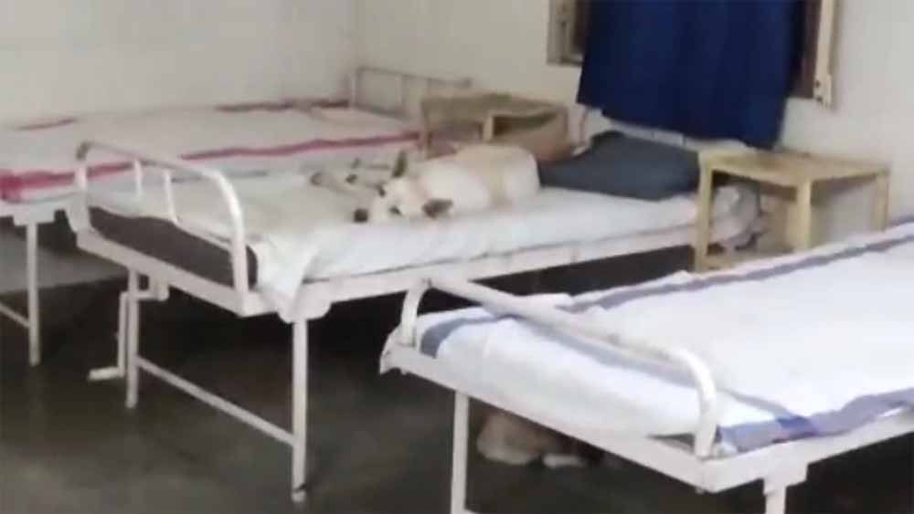 Hospital 1.jpg