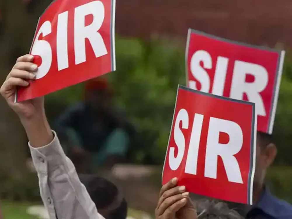 Sir1 7.jpg
