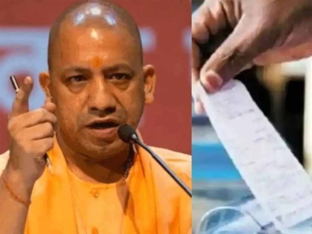 Yogi 23.jpg
