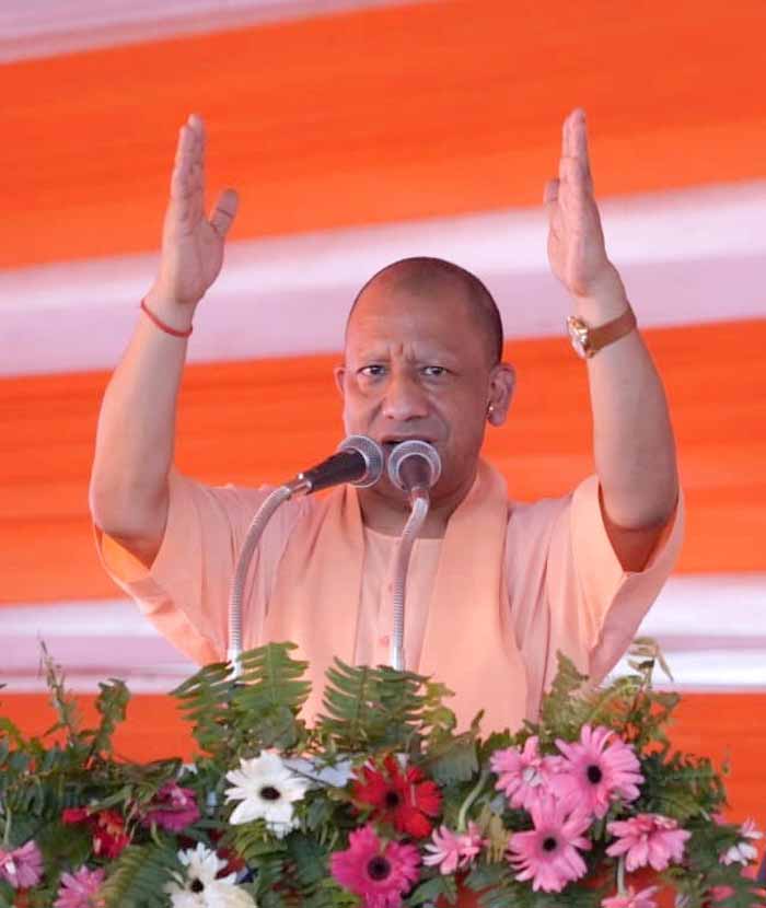 Yogi 5.jpg