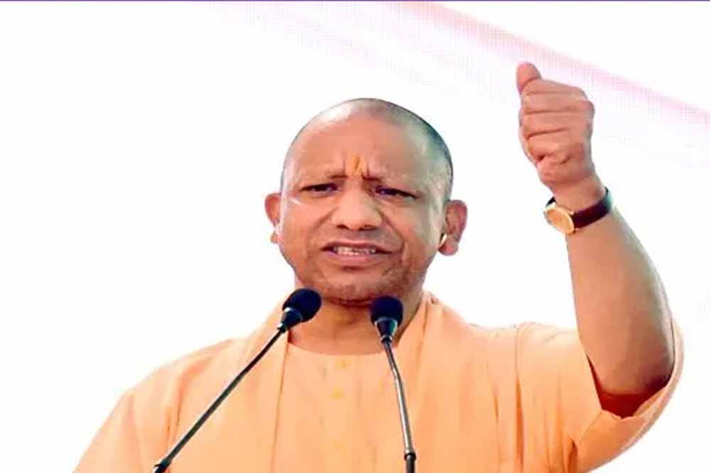 Yogi3 1.jpg