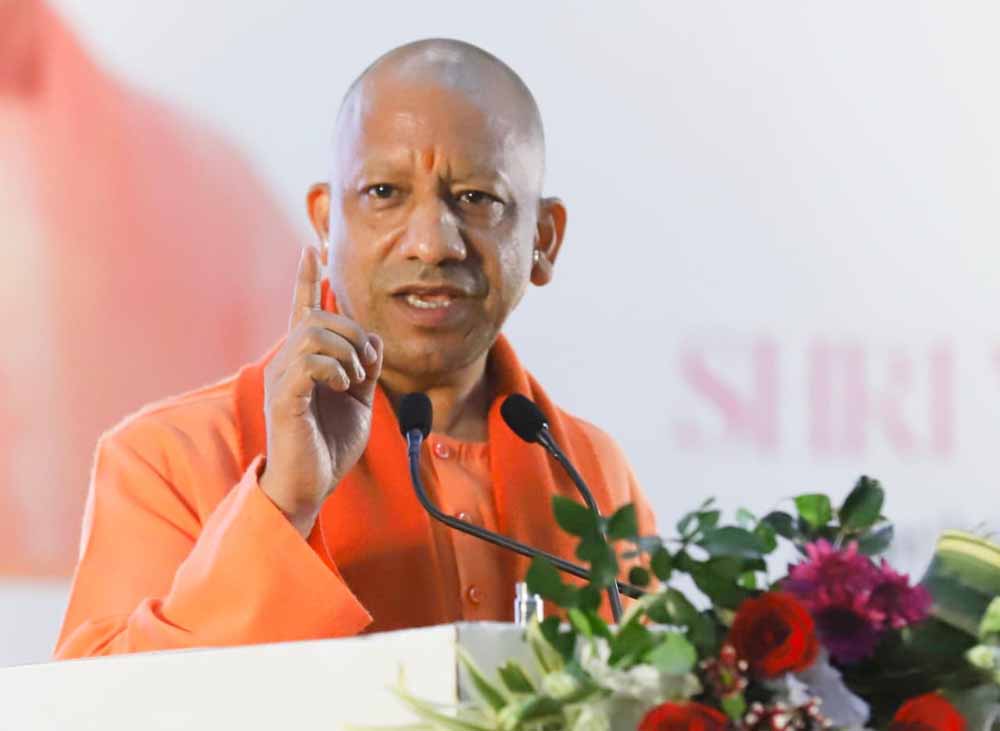 Yogi3 7.jpg