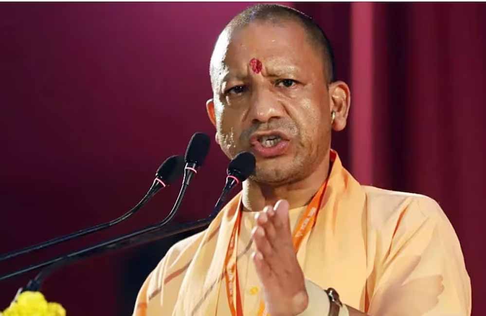 Yogi 60 2 1.jpg