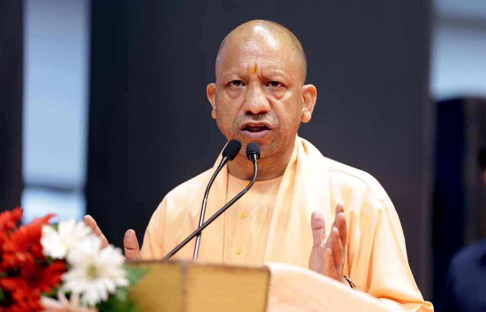 CM yogi 02 8.jpg