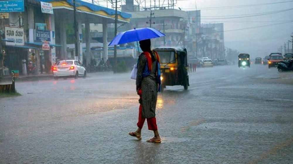 Barish 1.jpg