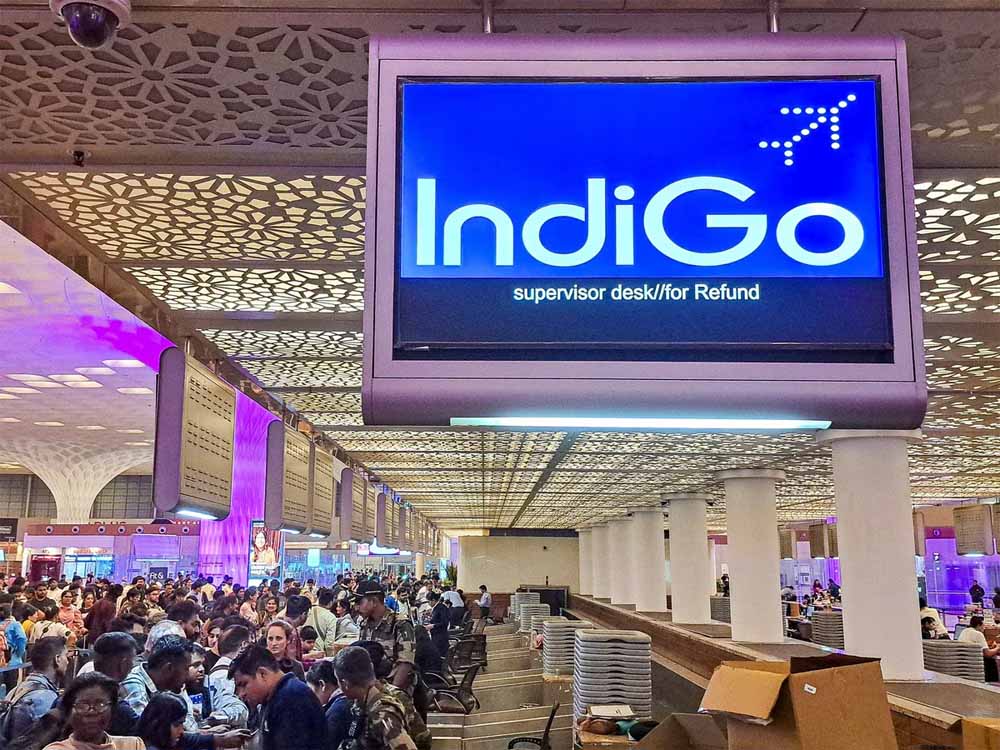 Indigo 3.jpg