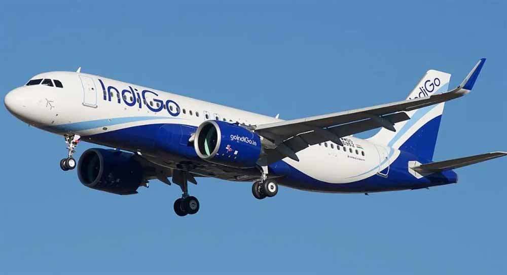Indigo 6.jpg