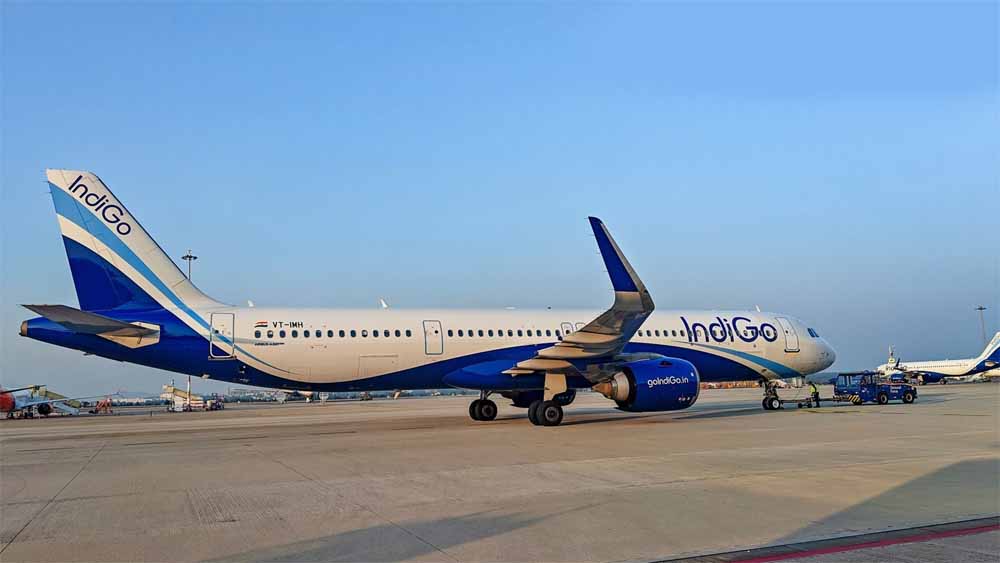 Indigo 7.jpg