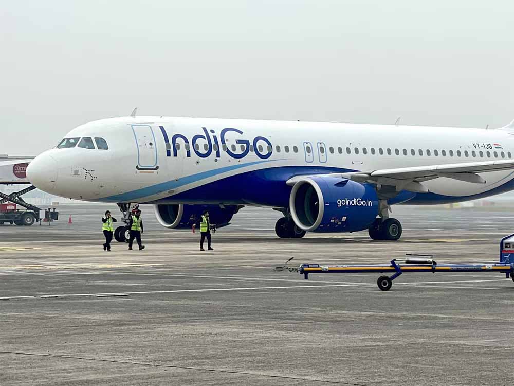 Indigo3.jpg