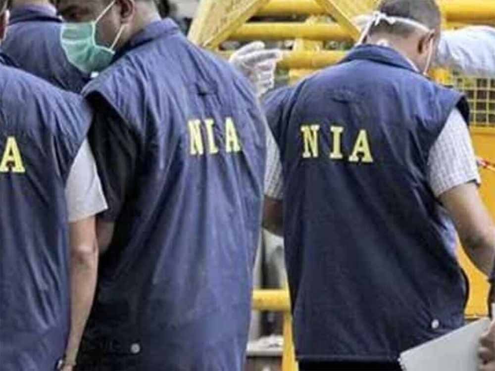 Nia 1.jpg