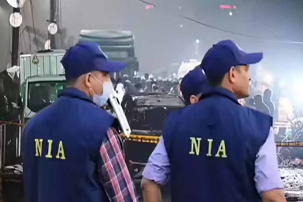 Nia.jpg
