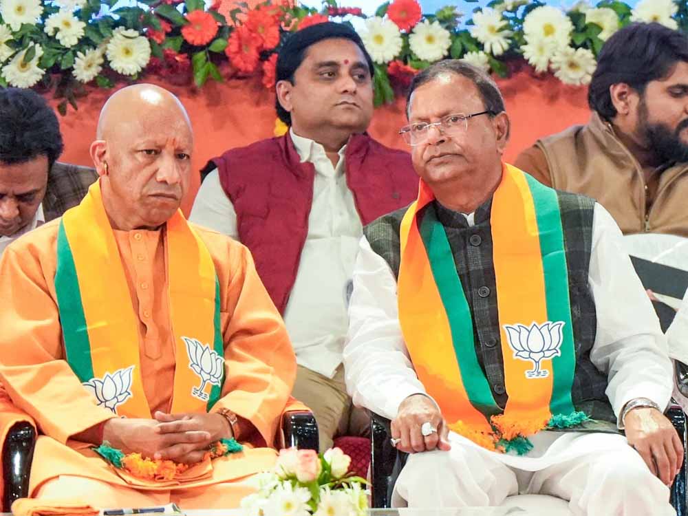 Yogi 11.jpg