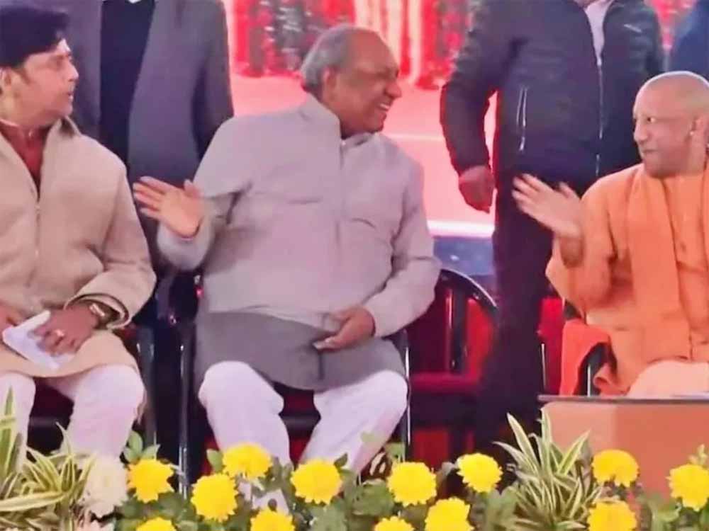 Yogi 19.jpg