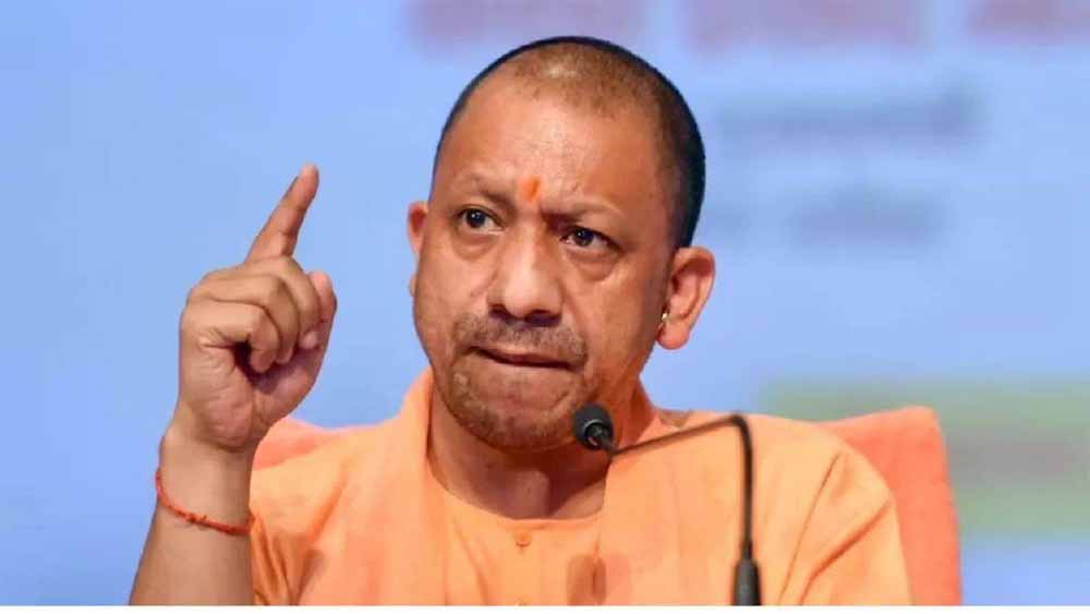 Yogi18.jpg