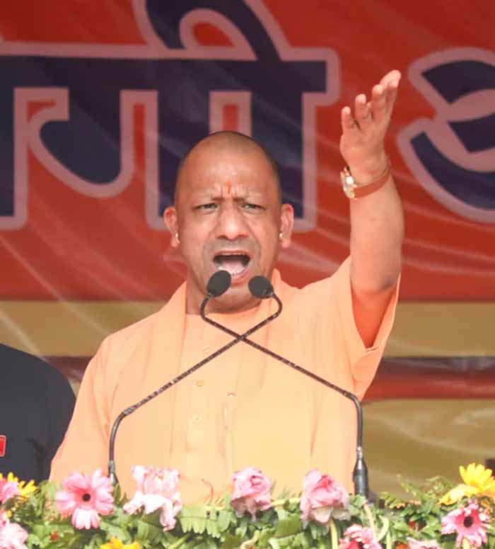Yogi3 8.jpg