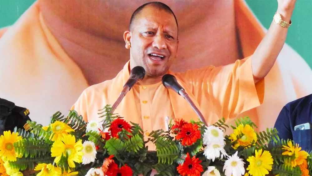 Yogi6 2.jpg