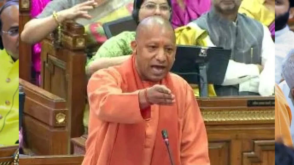 Yogi 3A 111 4.jpg