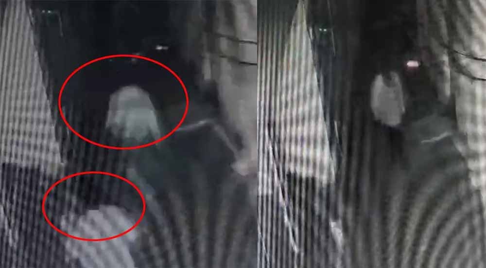 Chhattisgarh News 03 1 7.jpg