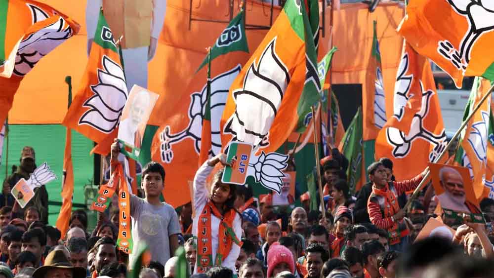 Bjp1 5.jpg