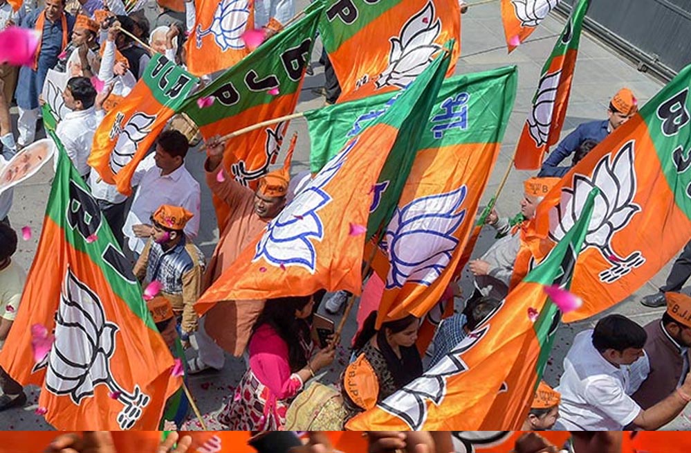 Bjp A 79 2 1.jpg