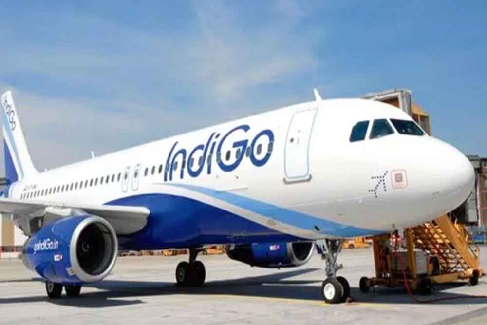 Indigo 3.jpg