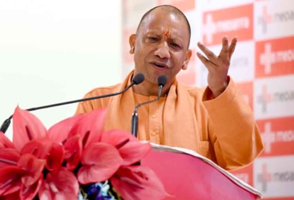 Yogi 10.jpg