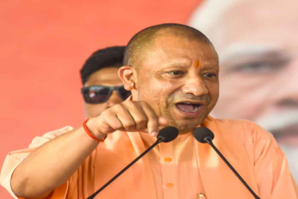 Yogi 13.jpg