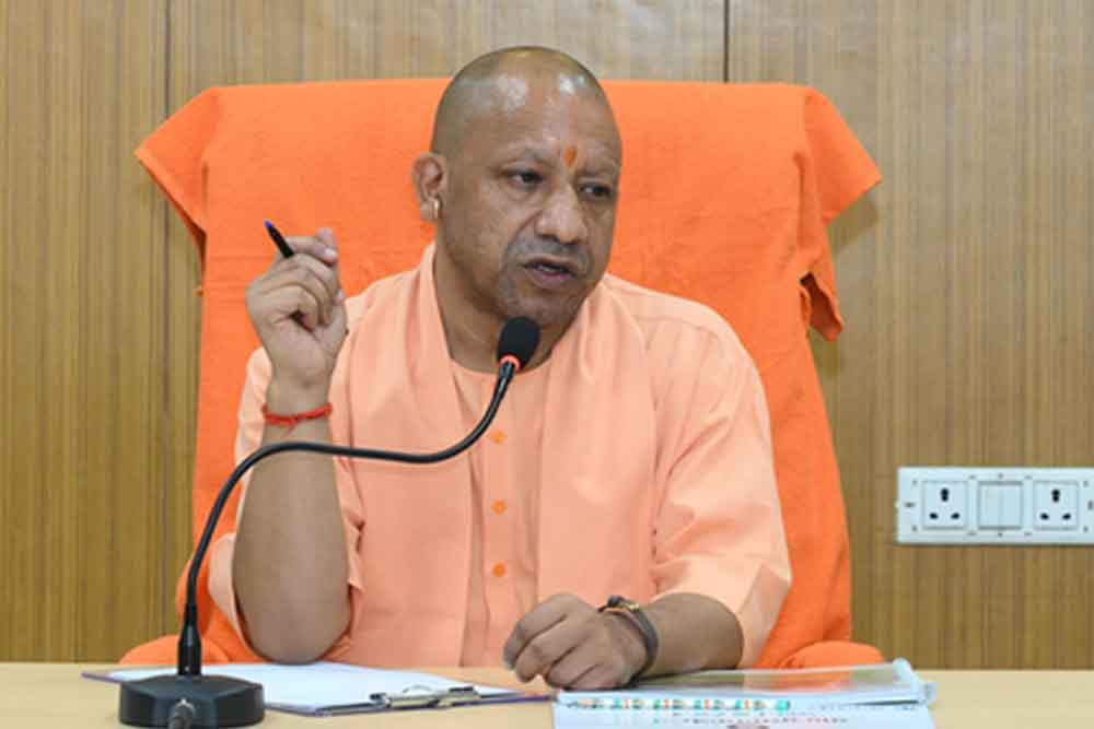 Yogi 15.jpg
