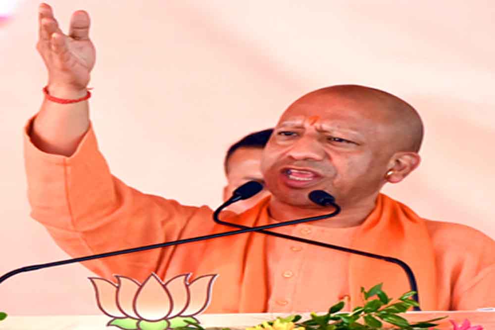 Yogi 2.jpg