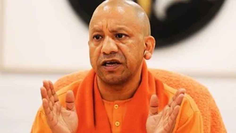 Yogi 8.jpg