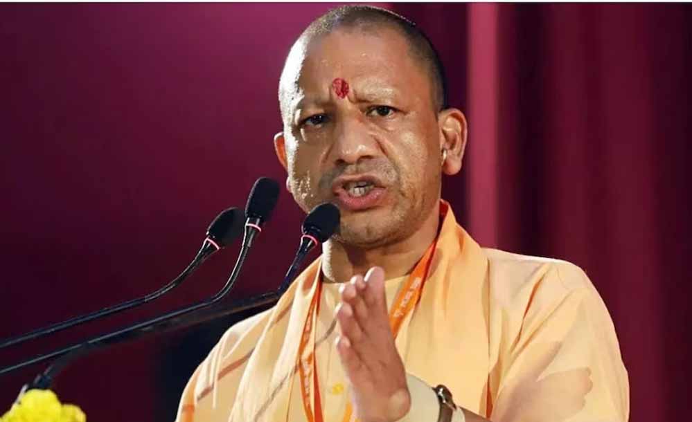 Yogi 102 1.jpg