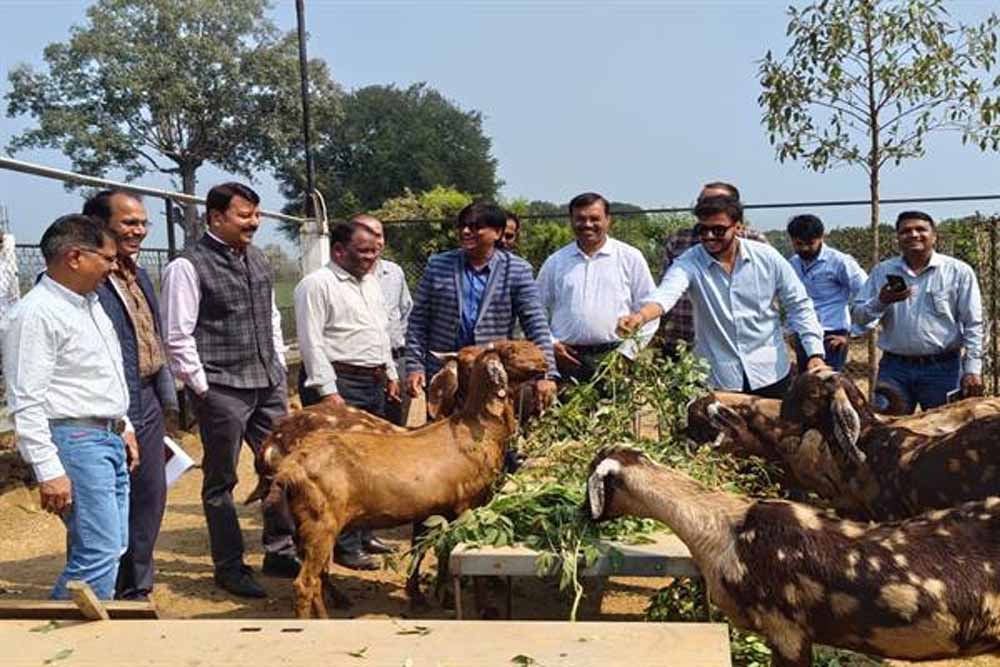 Bakri 01.jpg