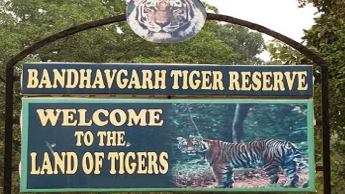 Bandhavgarh Tiger Reserve
