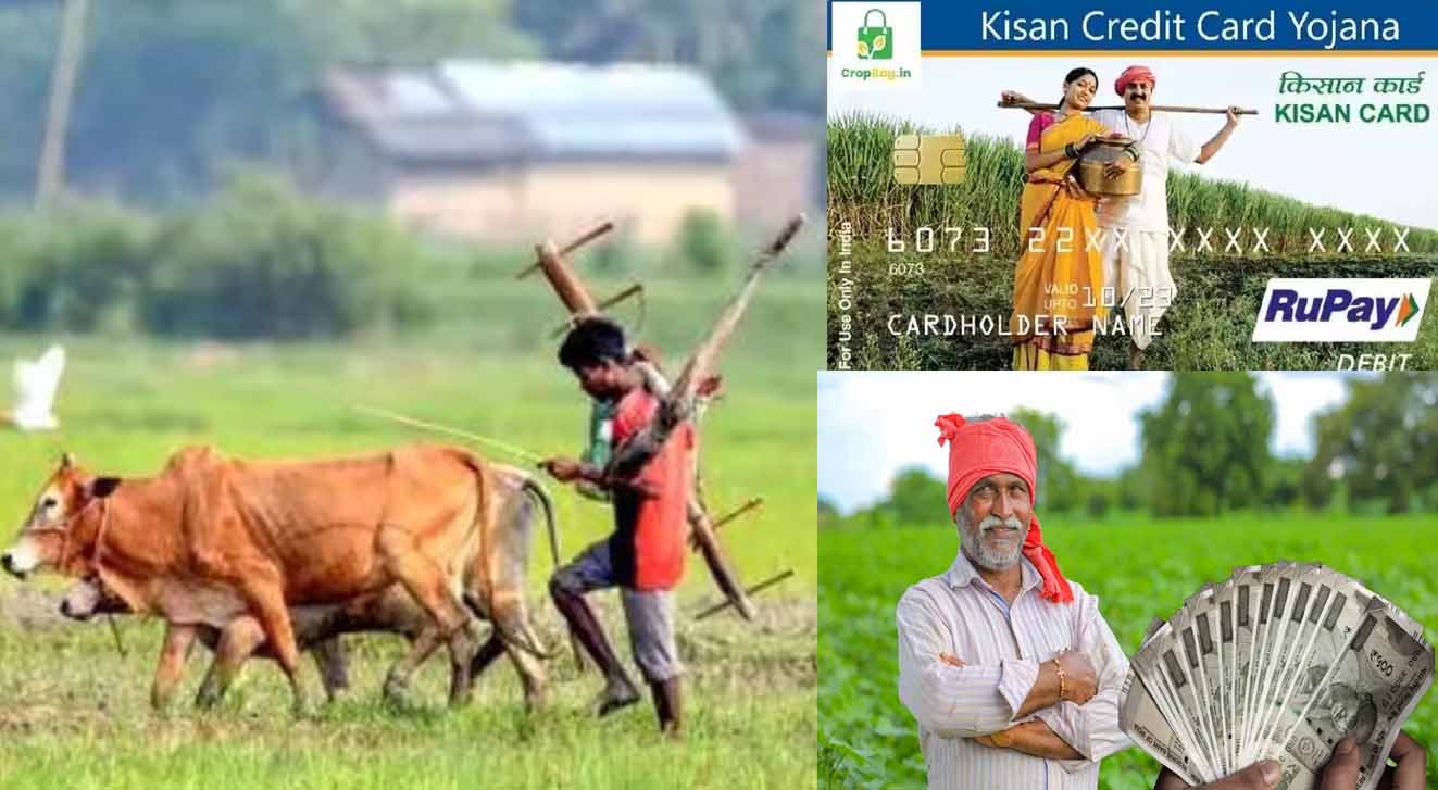 Bihar News 01 1 4.jpg