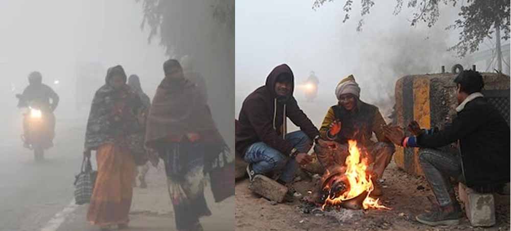 Chhattisgarh News 03 1 3.jpg