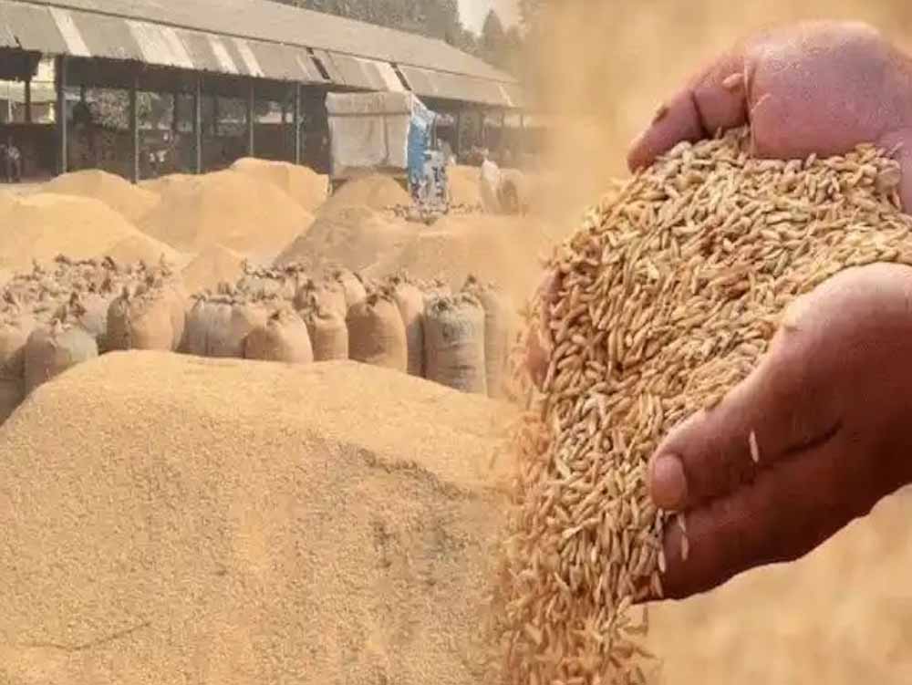 Chhattisgarh News 05 1 2.jpg